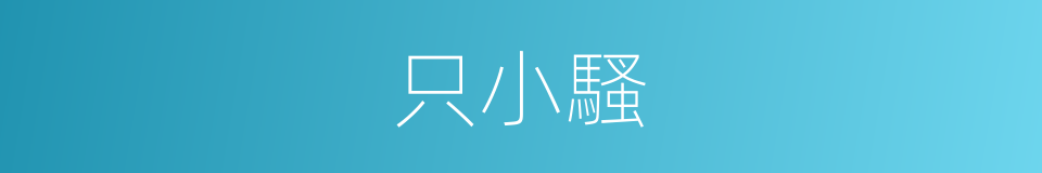 只小騷的同義詞