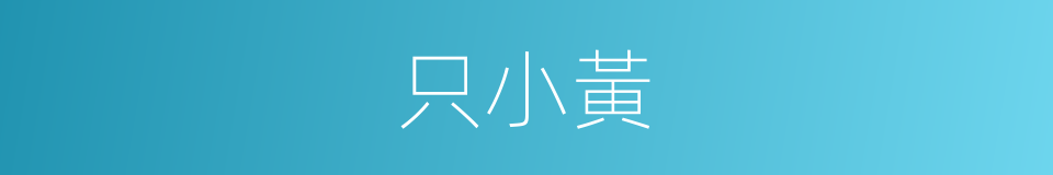 只小黃的同義詞