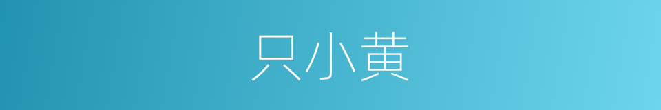 只小黄的同义词