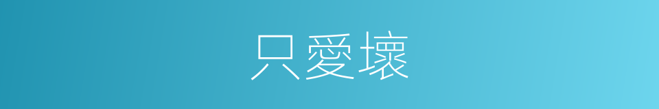 只愛壞的同義詞