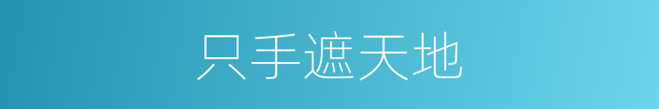 只手遮天地的同义词