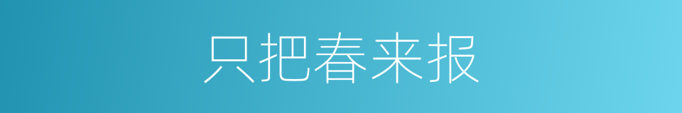 只把春来报的同义词