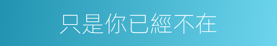 只是你已經不在的同義詞