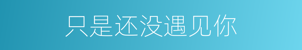 只是还没遇见你的同义词