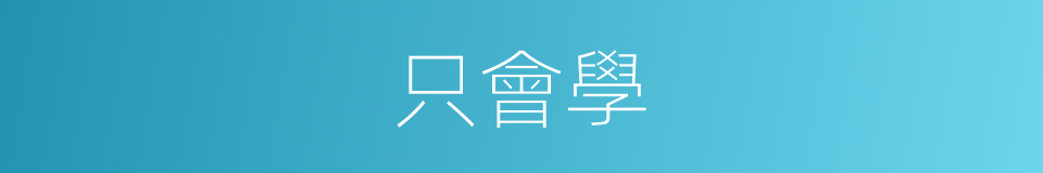 只會學的同義詞