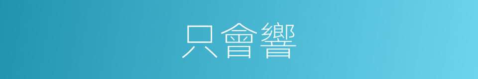 只會響的同義詞