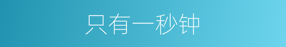 只有一秒钟的同义词