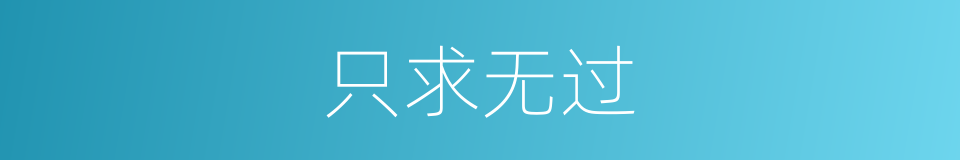 只求无过的同义词