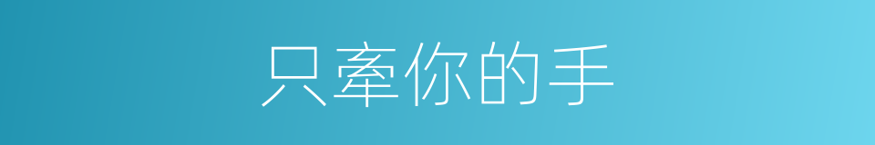 只牽你的手的同義詞