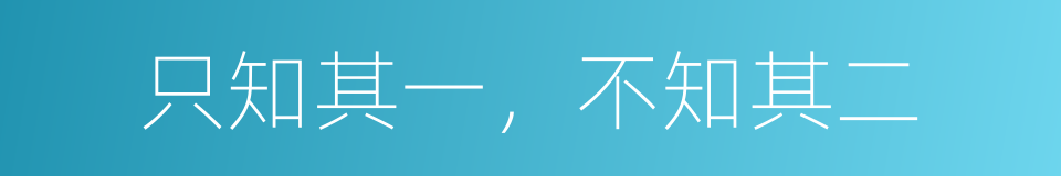 只知其一，不知其二的意思