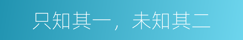 只知其一，未知其二的意思