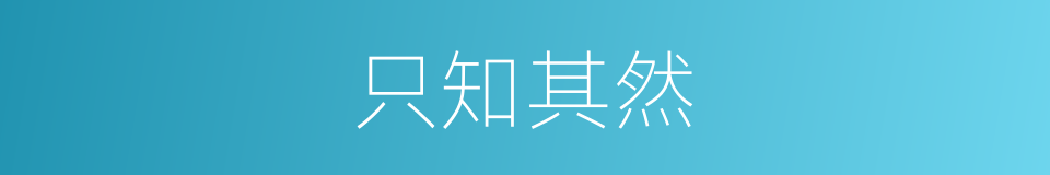 只知其然的同义词