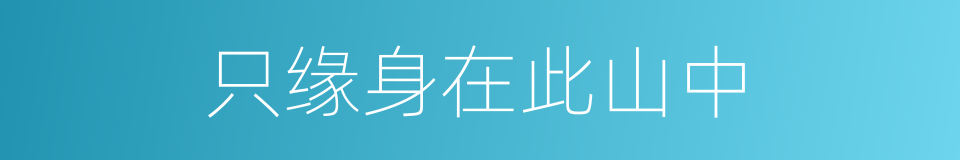 只缘身在此山中的同义词