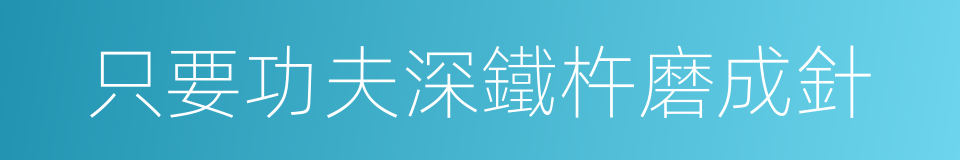只要功夫深鐵杵磨成針的意思