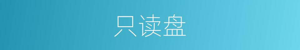 只读盘的同义词