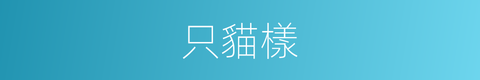 只貓樣的同義詞