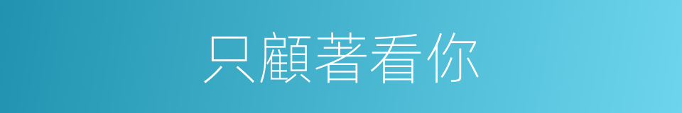 只顧著看你的同義詞