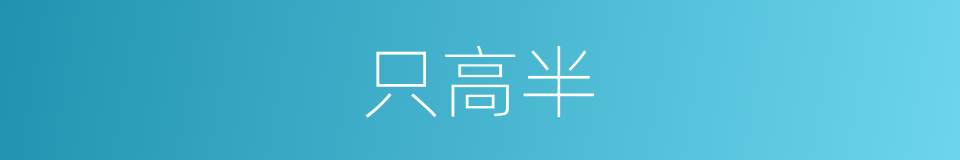 只高半的同义词