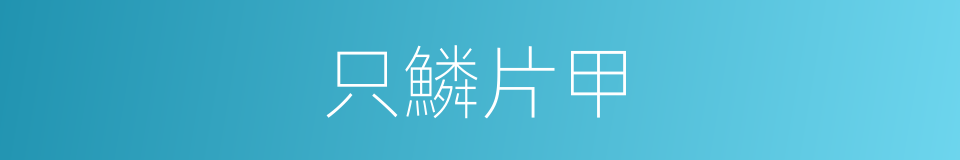 只鱗片甲的意思