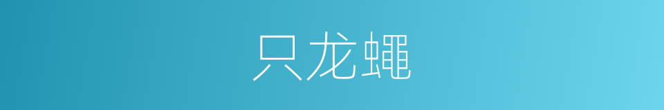 只龙蠅的同義詞