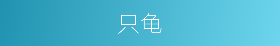只龟的同义词