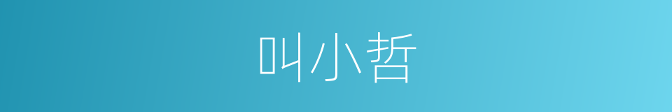 叫小哲的同义词