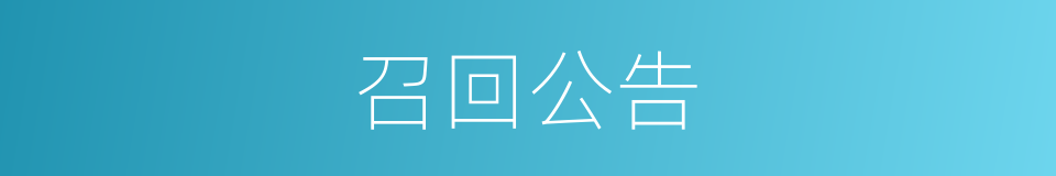 召回公告的同义词