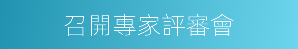 召開專家評審會的同義詞