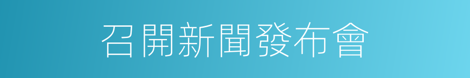 召開新聞發布會的同義詞