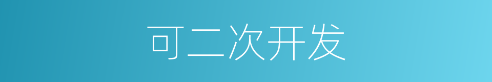 可二次开发的同义词