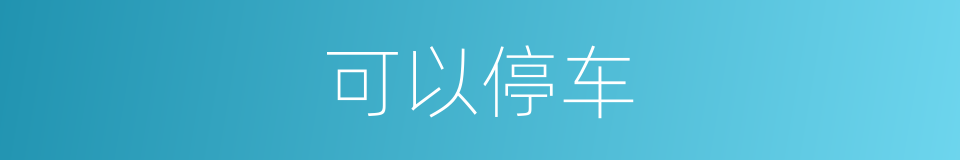 可以停车的意思