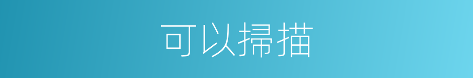 可以掃描的意思