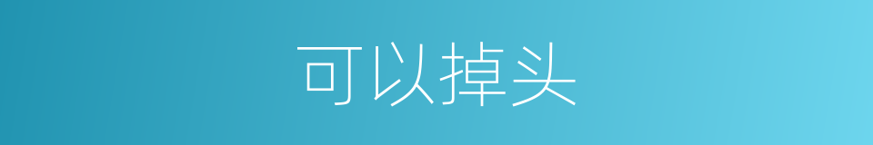 可以掉头的意思