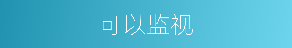 可以监视的意思
