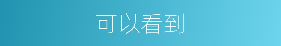 可以看到的意思