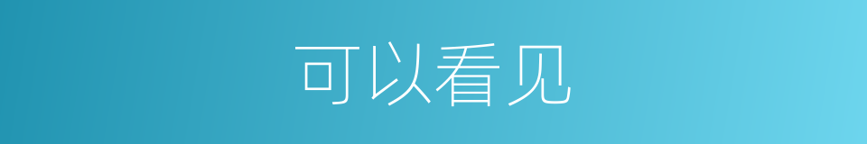 可以看见的意思