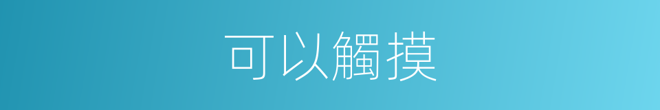 可以觸摸的意思