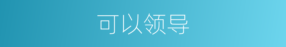 可以领导的意思