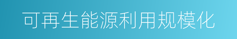 可再生能源利用规模化的同义词