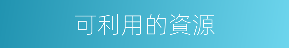 可利用的資源的同義詞