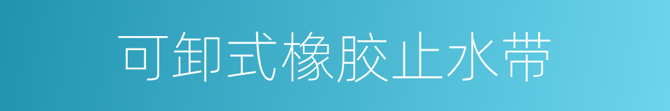 可卸式橡胶止水带的同义词