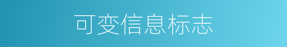 可变信息标志的同义词