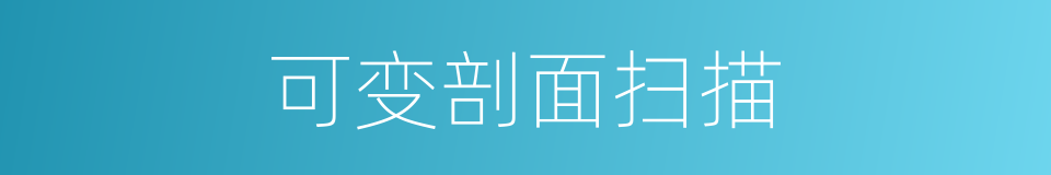 可变剖面扫描的同义词