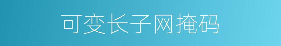 可变长子网掩码的同义词