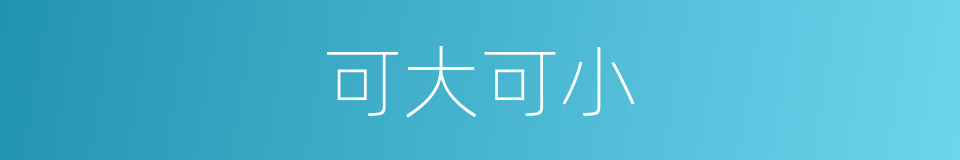 可大可小的意思