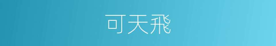 可天飛的同義詞