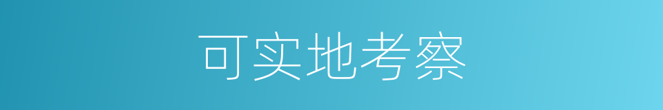 可实地考察的同义词