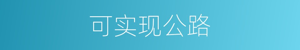 可实现公路的同义词