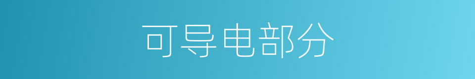 可导电部分的同义词