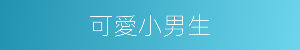 可愛小男生的同義詞